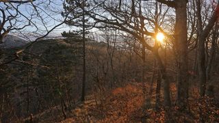 16.03.2014., Juzni Velebit – Topljenje snijega na Juznom Velebitu i procvjetani prvi planinski cvjetovi u ranom proljecu najavljuju skorasnje toplije vrijeme. Photo: Filip Brala/PIXSELL Autor Filip Brala/PIXSELL Ključne riječi rekreacija, planina, pro 16.03.2014., Juzni Velebit – Topljenje snijega na Juznom Velebitu i procvjetani prvi planinski cvjetovi u ranom proljecu najavljuju skorasnje toplije vrijeme. Photo: Filip Brala/PIXSELL Autor Filip Brala/PIXSELL Ključne riječi rekreacija, planina, pro