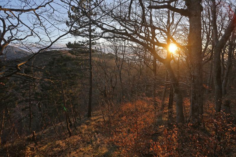 16.03.2014., Juzni Velebit – Topljenje snijega na Juznom Velebitu i procvjetani prvi planinski cvjetovi u ranom proljecu najavljuju skorasnje toplije vrijeme. Photo: Filip Brala/PIXSELL Autor Filip Brala/PIXSELL Ključne riječi rekreacija, planina, pro 16.03.2014., Juzni Velebit – Topljenje snijega na Juznom Velebitu i procvjetani prvi planinski cvjetovi u ranom proljecu najavljuju skorasnje toplije vrijeme. Photo: Filip Brala/PIXSELL Autor Filip Brala/PIXSELL Ključne riječi rekreacija, planina, pro