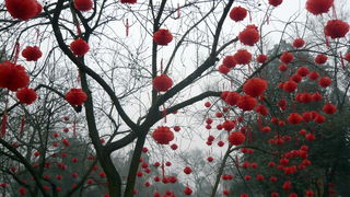 Putovanje u Kinu i Tibet (Foto:Iva Bur