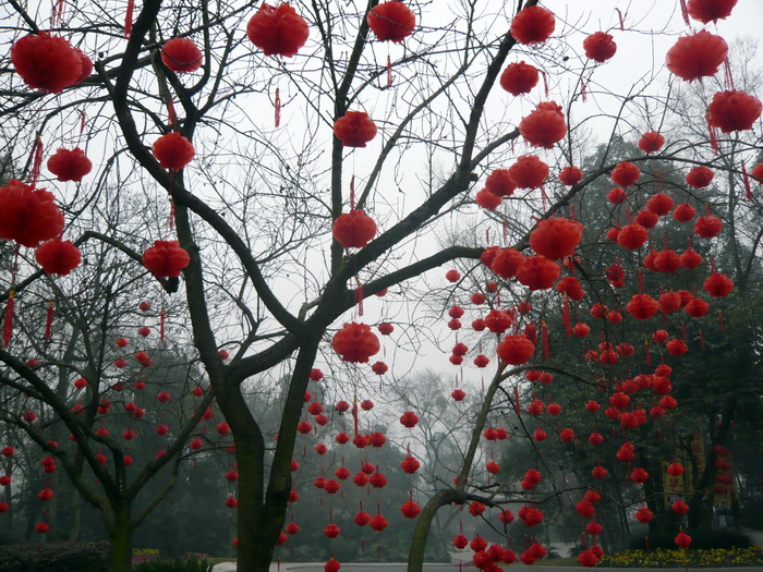 Putovanje u Kinu i Tibet (Foto:Iva Bur