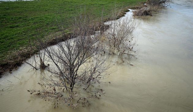 Sava se izlila iz korita zbog naglog zatopljenja: vodostaj u pripremnom stanju