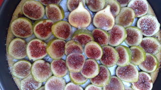 Restoran Pet bunara Restoran Pet bunara