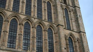 Image 1185575 (auto)