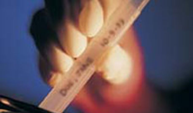 epruveta (foto: Totalportal.hr)