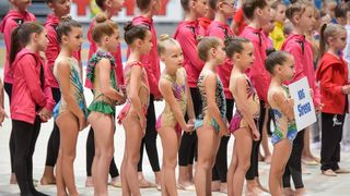 Međunarodni turnir u ritmičkoj gimnastici Sirena kup 2019. Međunarodni turnir u ritmičkoj gimnastici Sirena kup 2019.