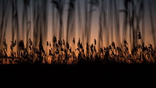 Prekrasan siječanjski suton na Vranskom jezeru. Foto: Vinko Pešić Prekrasan siječanjski suton na Vranskom jezeru. Foto: Vinko Pešić
