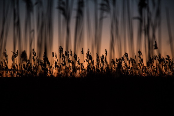 Prekrasan siječanjski suton na Vranskom jezeru. Foto: Vinko Pešić Prekrasan siječanjski suton na Vranskom jezeru. Foto: Vinko Pešić