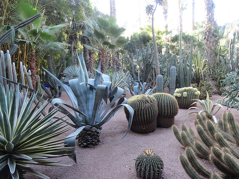 Skitnja Casablancom, foto: Pero Šindija