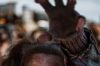 085 Karnevalska povorka Zadar 15.2.2026, Foto Matija Lipar