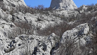 Ako ste u mogućnosti za mali izlet, posjetite Stap – veliko krško polje na Južnom Velebitu, na 960 m visine, foto: Vedran Penga