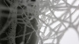 Zbog jutarnjih temperatura u minusu raslinje na kontinentu je prekriveno injem