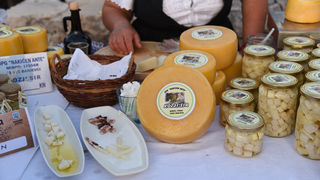 Održan sajam “Luka i igara”