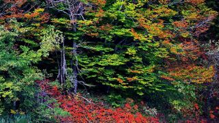 NP Plitvička jezera, listopad 2021.