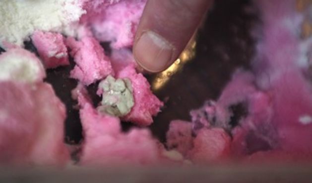 Sažvakana žvakaća (Foto: Danijel Soldo/Cropix)