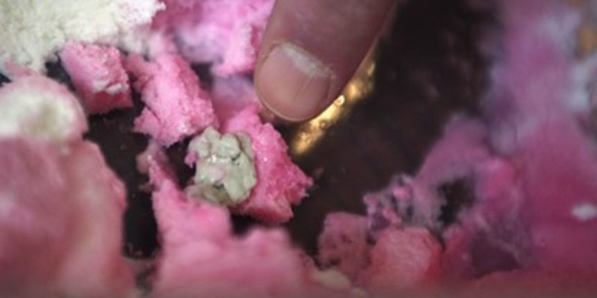 Sažvakana žvakaća (Foto: Danijel Soldo/Cropix)