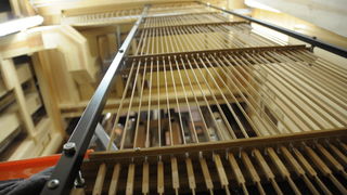 Nove orgulje u katedrali Svete Stosije u Zadru, Foto: Darko Dilber