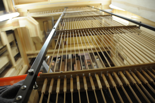 Nove orgulje u katedrali Svete Stosije u Zadru, Foto: Darko Dilber