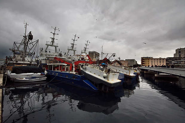 Ribarice u zadarskoj luci, Foto: Leo Banić