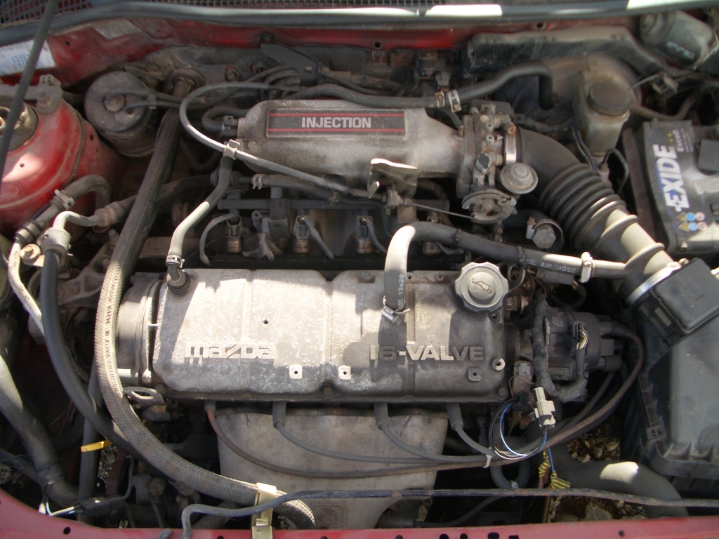 Image 1102691 (auto)