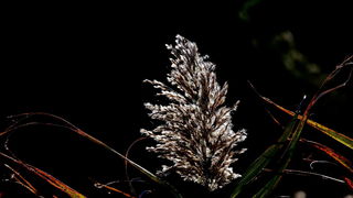 Izlet do Vranskog jezera i vidikovca Kamenjak. Foto: Leo Kvarantan Izlet do Vranskog jezera i vidikovca Kamenjak. Foto: Leo Kvarantan