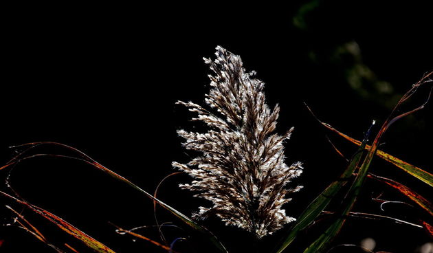 Izlet do Vranskog jezera i vidikovca Kamenjak. Foto: Leo Kvarantan