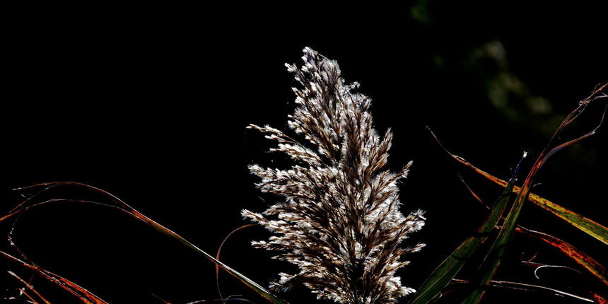 Izlet do Vranskog jezera i vidikovca Kamenjak. Foto: Leo Kvarantan Izlet do Vranskog jezera i vidikovca Kamenjak. Foto: Leo Kvarantan