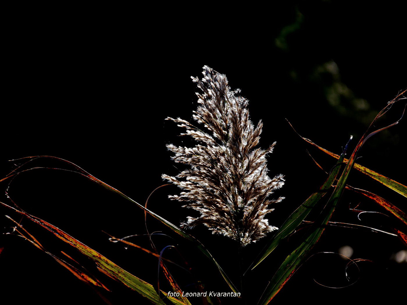Izlet do Vranskog jezera i vidikovca Kamenjak. Foto: Leo Kvarantan Izlet do Vranskog jezera i vidikovca Kamenjak. Foto: Leo Kvarantan