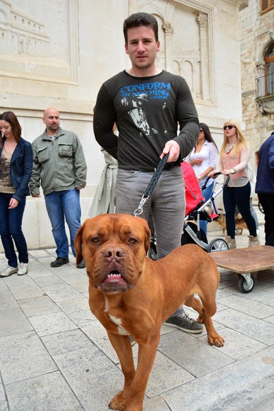 Skup podrške za NO KILL skloništa za životinje,  foto Iva Perinčić