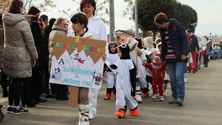 Virski karnevalić 2016. Virski karnevalić 2016.