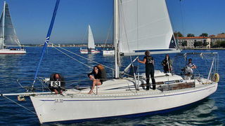 “Zadarska koka”: Regata za sve generacije snimljena iz “koke” “Zadarska koka”: Regata za sve generacije snimljena iz “koke”