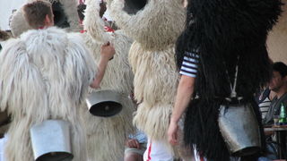 Crna ovca u Baški na otoku Krku Crna ovca u Baški na otoku Krku