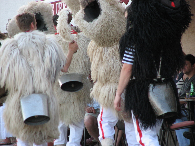 Crna ovca u Baški na otoku Krku Crna ovca u Baški na otoku Krku