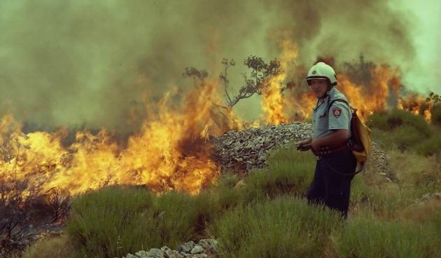 Pozari iz objektiva JVP Zadar