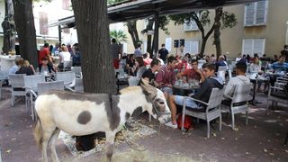 Građani od podneva uživaju u Varoškoj fešti, foto: Filip Brala/PIXSELL Građani od podneva uživaju u Varoškoj fešti, foto: Filip Brala/PIXSELL