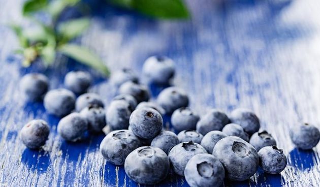 Zrele borovnice. Plodovi borovnice su veoma hranjivi, jer su bogati zeljezom i vitaminima. Najcesce se koristi za spravljanje cajeva, sokova i marmelada