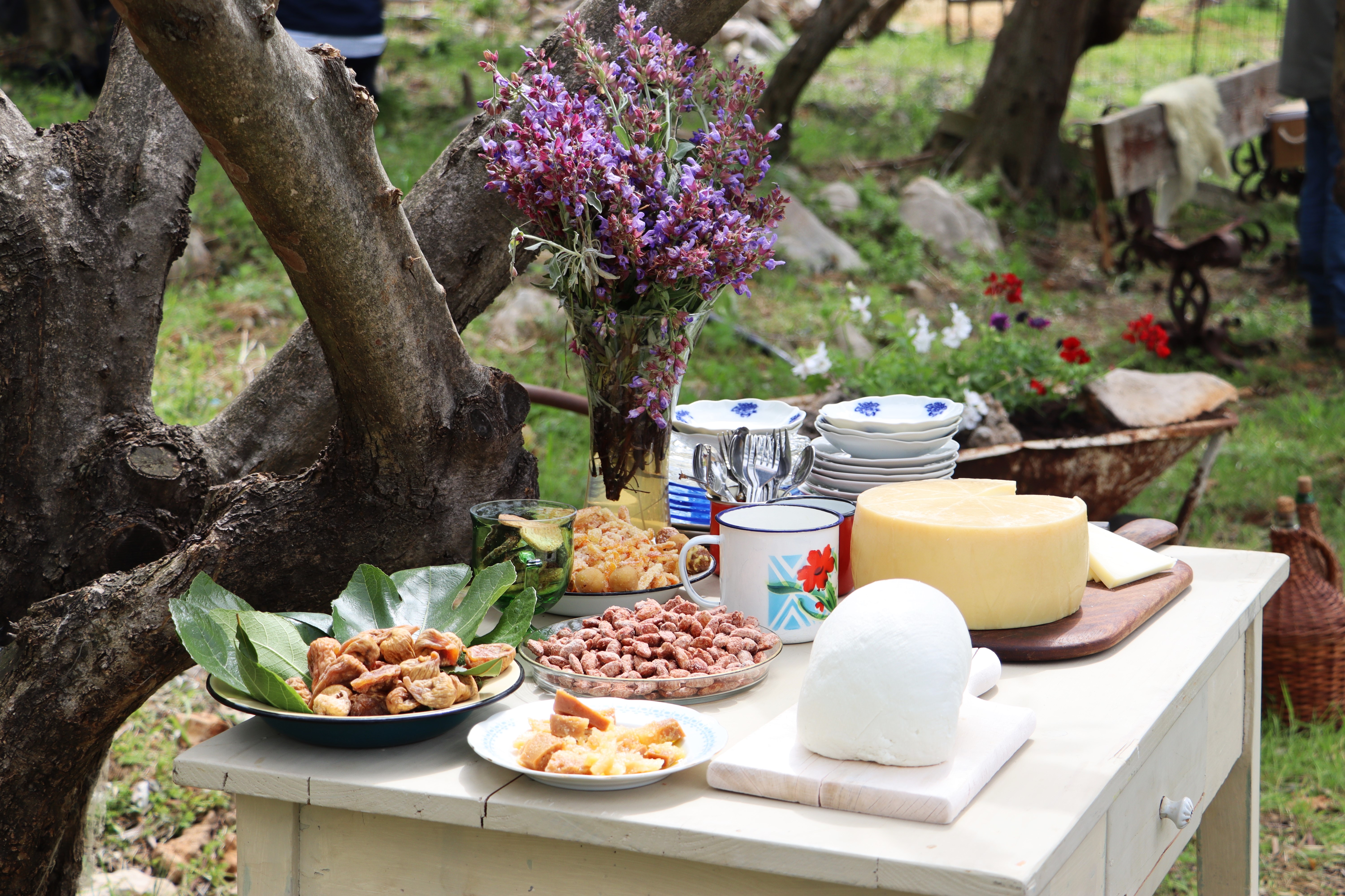 MarsOvca je novi projekt novaljske gastronomije koji na tron diže pašku ovcu