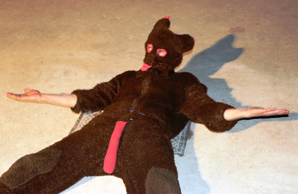 2. Međunarodna karnevalska povorka Virskih maškara