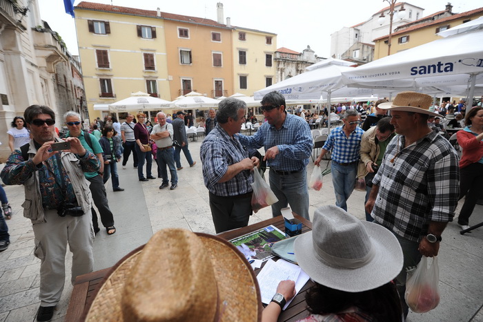 Zadar, 270413
Jos jedan predizborni performans Enia Mestrovica. Ovaj put je na Narodnom trgu glasove “kupovao” porcijama svinjetine.
Na fotografiji: detalj s dogadjaja.
Foto: Luka Gerlanc / CROPIX Zadar, 270413
Jos jedan predizborni performans Enia Mestrovica. Ovaj put je na Narodnom trgu glasove “kupovao” porcijama svinjetine.
Na fotografiji: detalj s dogadjaja.
Foto: Luka Gerlanc / CROPIX