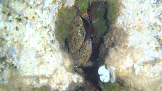 OLYMPUS DIGITAL CAMERA OLYMPUS DIGITAL CAMERA