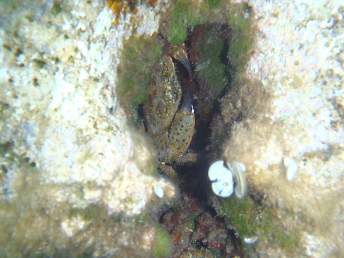 OLYMPUS DIGITAL CAMERA OLYMPUS DIGITAL CAMERA