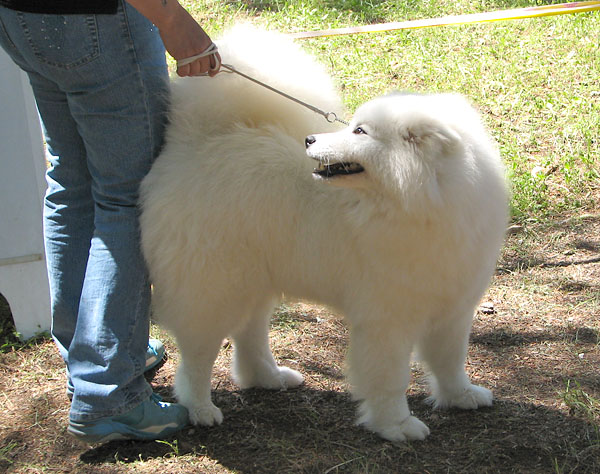 Image 1171099 (auto)