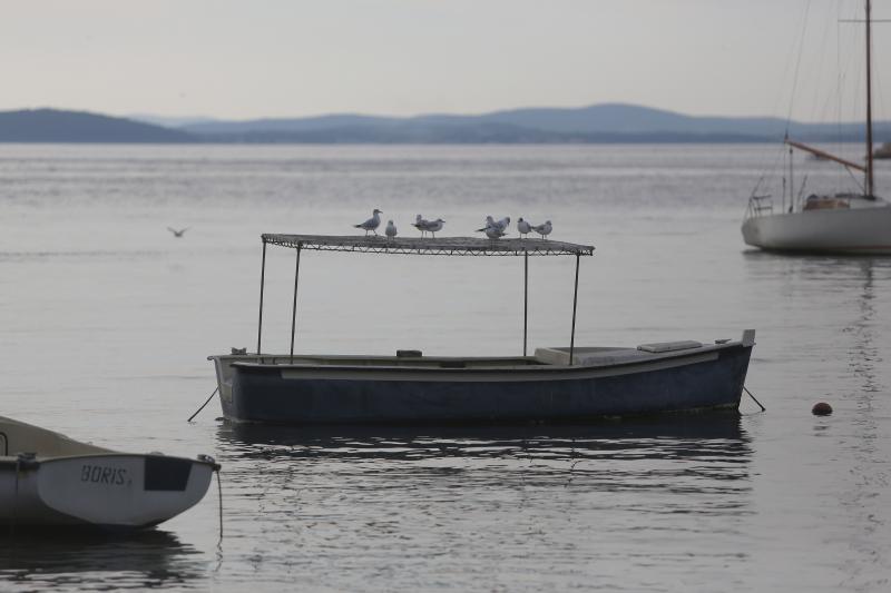 Predvečerje u Zadru 6. ožujka 2014.  Foto: Filip Brala/PIXSELL