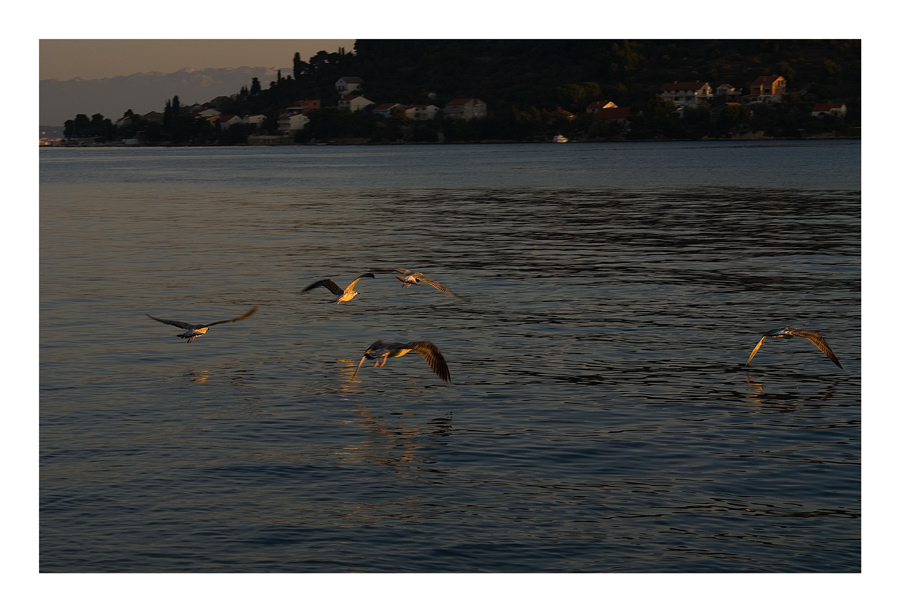 Image 1194621 (auto)