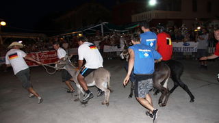 Image 1088997 (auto)