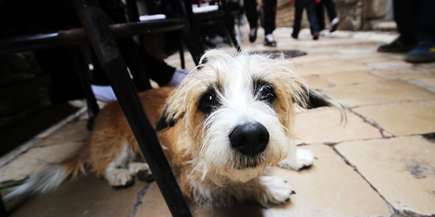 Subotnji šušur u gradu 27. travnja 2013.  Foto: Mia Čop