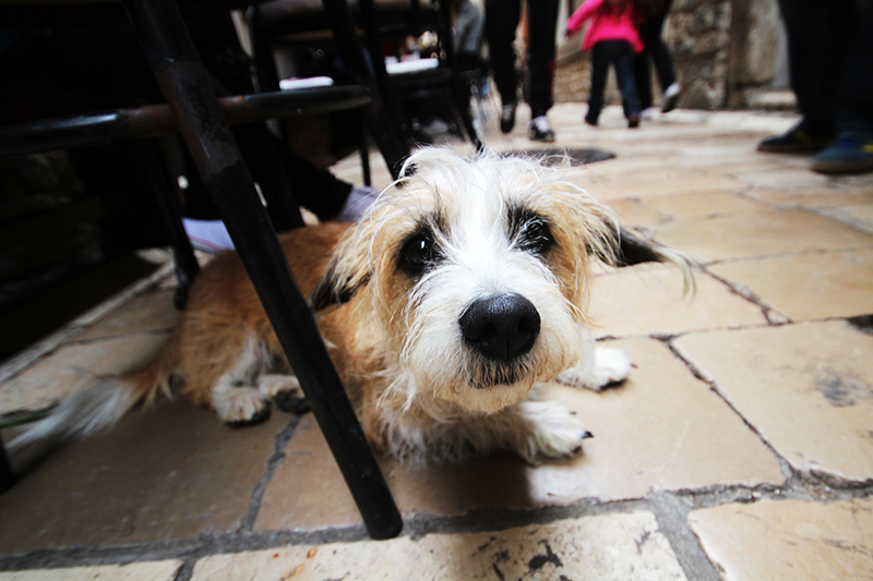 Subotnji šušur u gradu 27. travnja 2013. Foto: Mia Čop Subotnji šušur u gradu 27. travnja 2013. Foto: Mia Čop