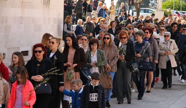 Cvjetnica 20. ožujka 2016: Nakon blagoslova maslinovih grančica, nadbisku Želimir Puljić predvodio je procesiju do katedrale sv. Stošije gdje je služio misno slavlje na kojem se pjevala Muka našeg Gospodina