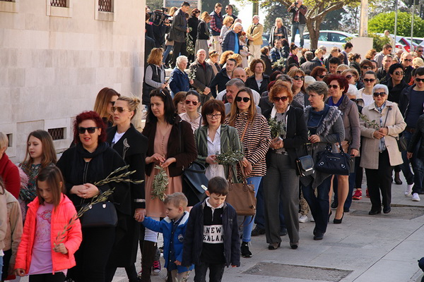 Cvjetnica 20. ožujka 2016: Nakon blagoslova maslinovih grančica, nadbisku Želimir Puljić predvodio je procesiju do katedrale sv. Stošije gdje je služio misno slavlje na kojem se pjevala Muka našeg Gospodina Cvjetnica 20. ožujka 2016: Nakon blagoslova maslinovih grančica, nadbisku Želimir Puljić predvodio je procesiju do katedrale sv. Stošije gdje je služio misno slavlje na kojem se pjevala Muka našeg Gospodina