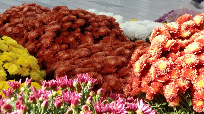 Gradska trznica uoci dana mrtvih, Foto: Mia Knezevic