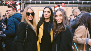 Badnjak u Zadru, 24. prosinca 2017.